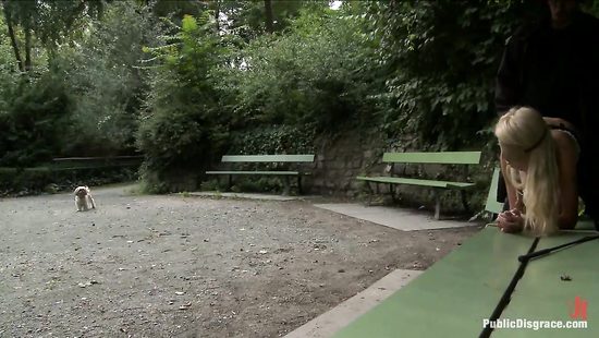 Бедную блондинку связали и выебали в парке