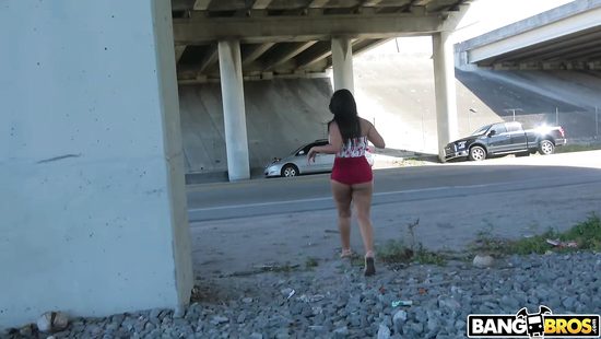 Пикапнул жопастую брюнетку и поимел ее на свежем воздухе