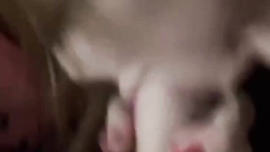 Отпуск удался