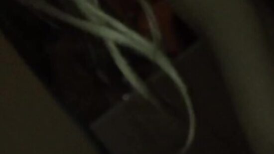 Сосет бывшая