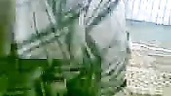 Моя сосалочка