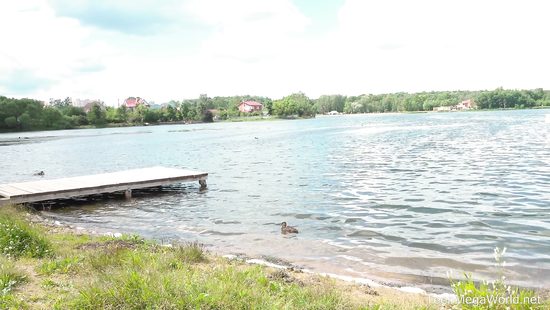 Вместо похода в ресторан отодрал дома подругу и накормил её спермой