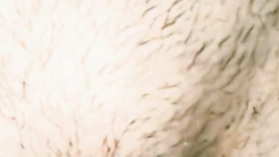 Моё новое™