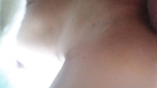 Света Проводница