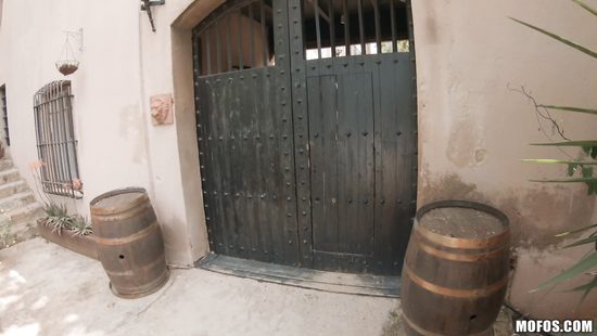 В публичном доме проститутка ублажает всеми способами богатого клиента