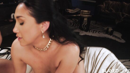 Дрессировка