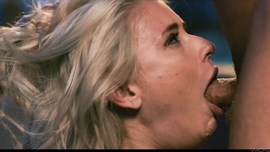 Американский стояк 4: Анонимный проект