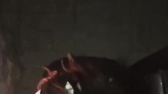 Чуток миньетика!)