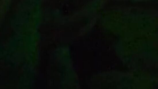 Кто со мной в душ?)