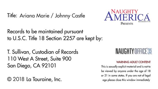 Начальник задержался в офисе чтобы объяснить секретарше её обязанности