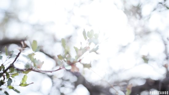 Бездомный наблюдает за жарким сексом темнокожего студента с подругой