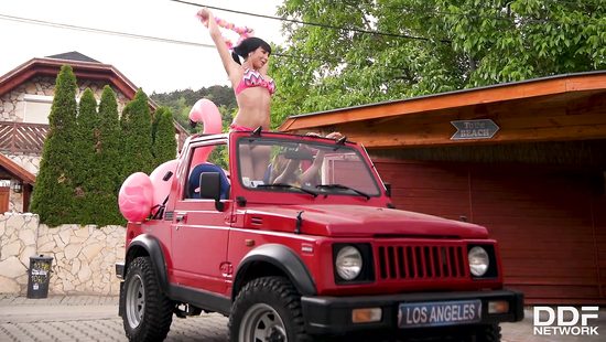 Бельгийская сучка привезла подругу лесбиянку для групповухи