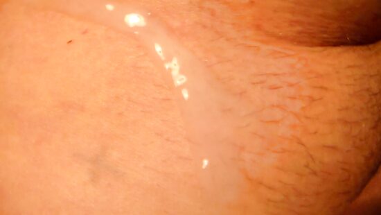 член в сперме