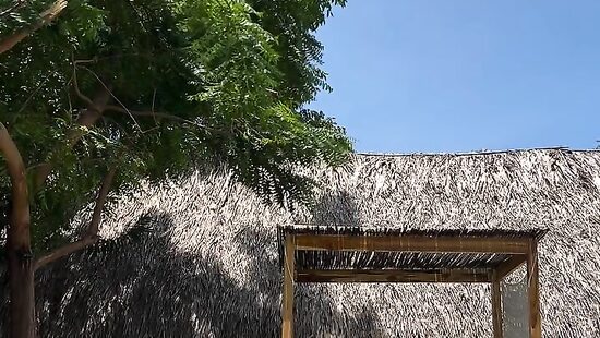 En mi mood, mojadita