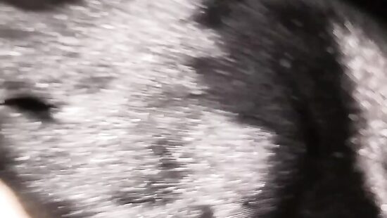 Кажется пора устроить хороший трах...)