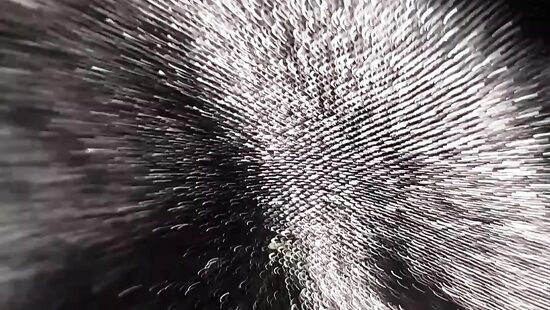 Кажется пора устроить хороший трах...)