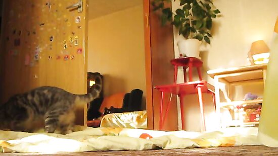 Люблю пососать и принять в рот