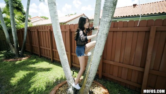 Крошечная азиатка чуть не обкончалась от вида большого члена