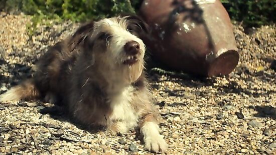 Песочный человек S02E05