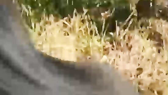 Трах с одной малышкой на природке;)