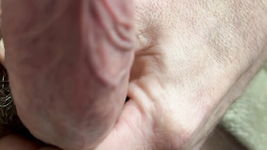 Член на чиле