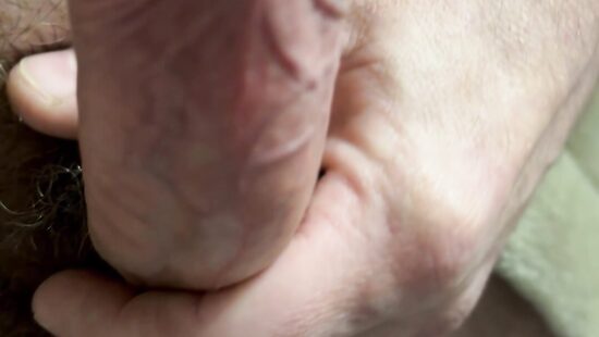 Член на чиле