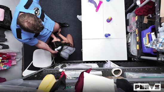 Все дилдо попадают в киски