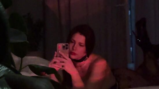 сладких снов