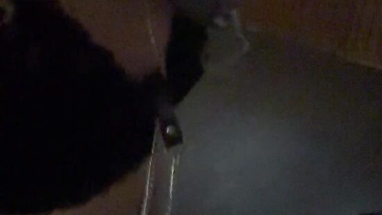 Отсос шлюшки на коленях ))